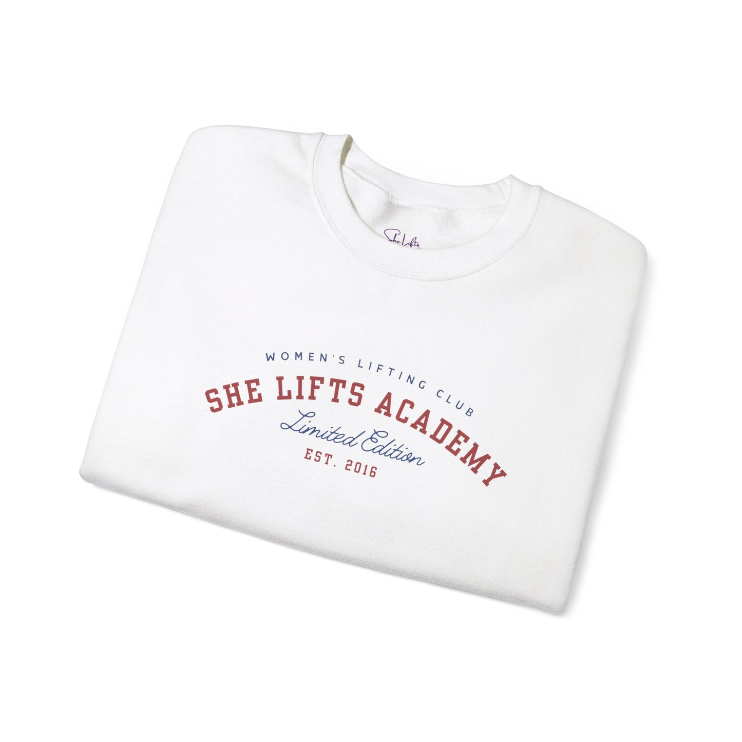 She Lifts Academy College