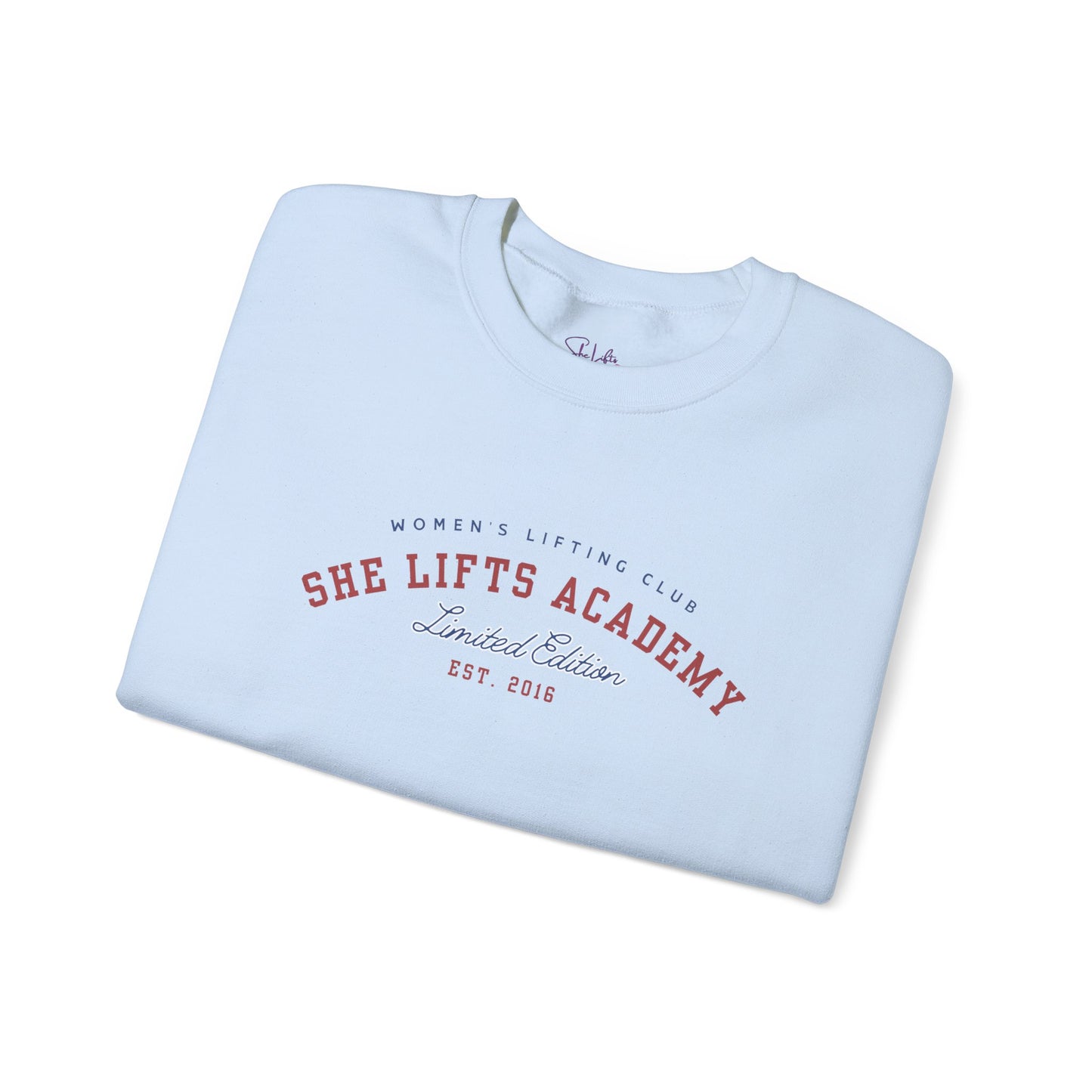 She Lifts Academy College
